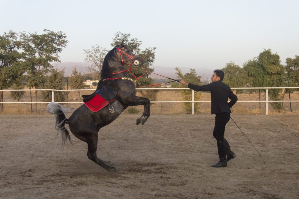بهزاد حاجی کندی عکاس ورزشی , Behzad HajiKandi sports photography